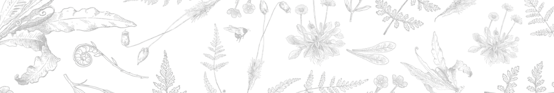 linkedin header 1128 191